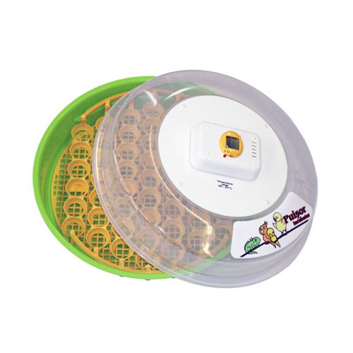 Incubator oua Puisor Exotic IO-203-0