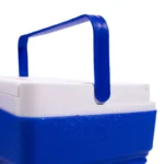 Set 4 cutii frigorifice portabile ILF01