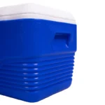 Set 4 cutii frigorifice portabile ILF01