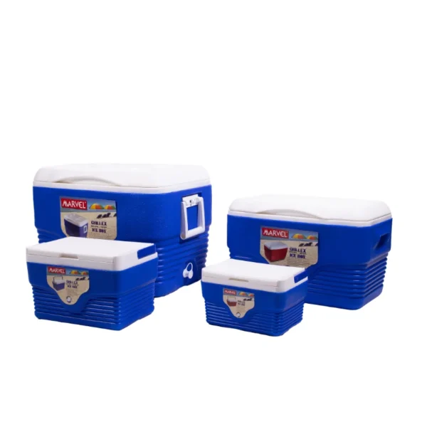 Set 4 cutii frigorifice portabile ILF01